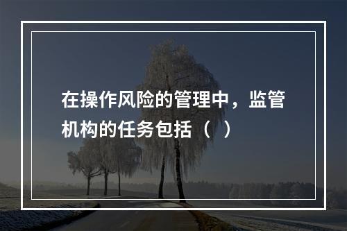 在操作风险的管理中，监管机构的任务包括（   ）