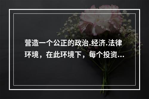 营造一个公正的政治.经济.法律环境，在此环境下，每个投资者在