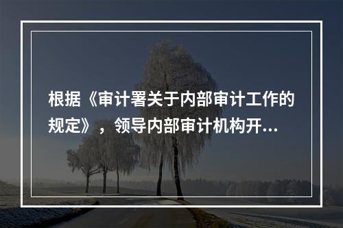 根据《审计署关于内部审计工作的规定》，领导内部审计机构开展工