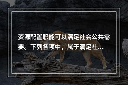 资源配置职能可以满足社会公共需要。下列各项中，属于满足社会公