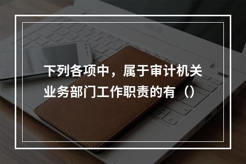 下列各项中，属于审计机关业务部门工作职责的有（）