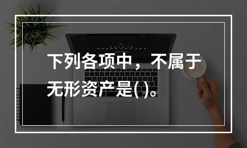 下列各项中，不属于无形资产是( )。