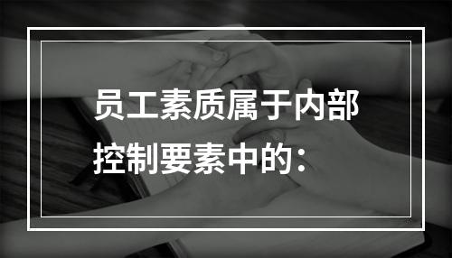 员工素质属于内部控制要素中的：