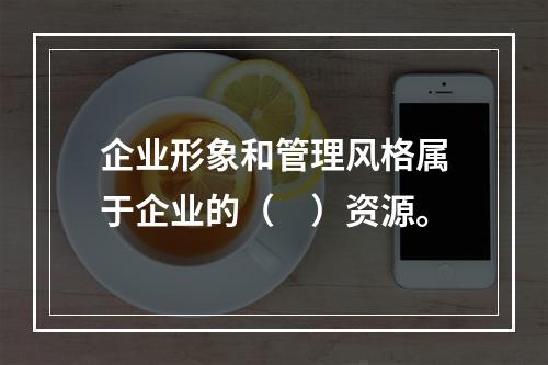 企业形象和管理风格属于企业的（　）资源。