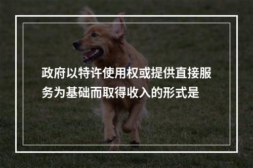 政府以特许使用权或提供直接服务为基础而取得收入的形式是