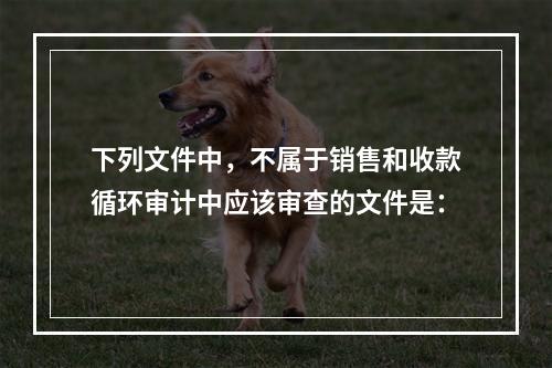 下列文件中，不属于销售和收款循环审计中应该审查的文件是：