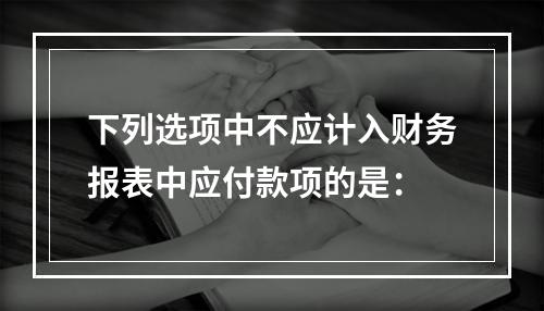 下列选项中不应计入财务报表中应付款项的是：