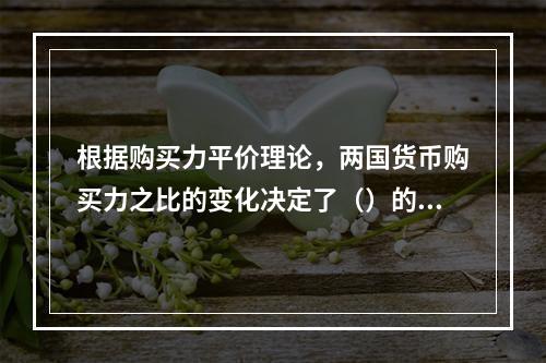 根据购买力平价理论，两国货币购买力之比的变化决定了（）的变动