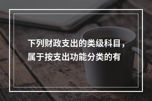 下列财政支出的类级科目，属于按支出功能分类的有