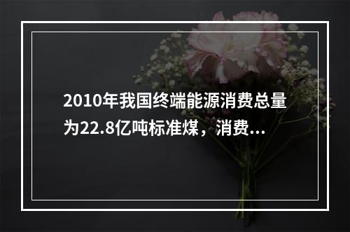 2010年我国终端能源消费总量为22.8亿吨标准煤，消费品种