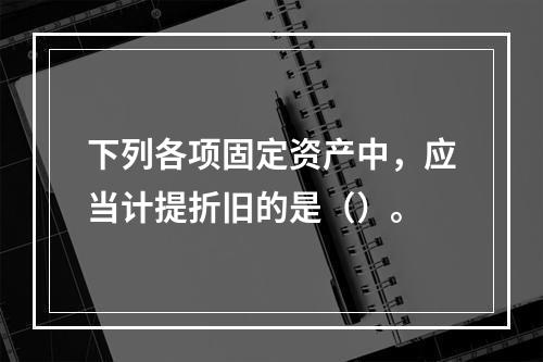 下列各项固定资产中，应当计提折旧的是（）。