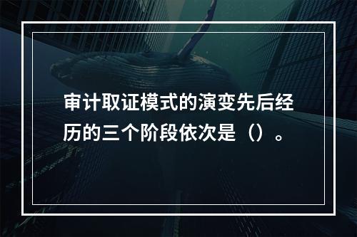 审计取证模式的演变先后经历的三个阶段依次是（）。