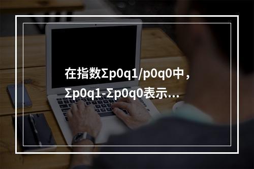 在指数Σp0q1/p0q0中，Σp0q1-Σp0q0表示（）