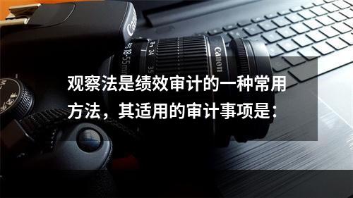 观察法是绩效审计的一种常用方法，其适用的审计事项是：