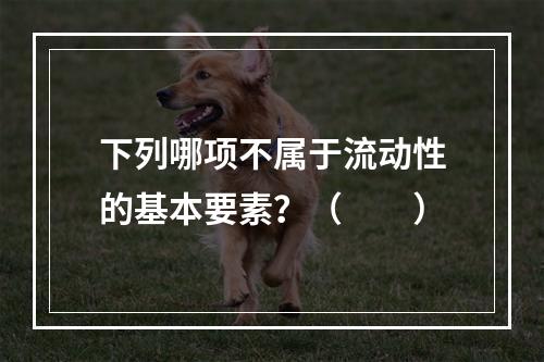 下列哪项不属于流动性的基本要素？（　　）