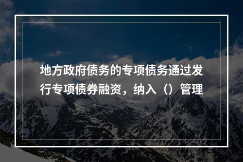 地方政府债务的专项债务通过发行专项债券融资，纳入（）管理