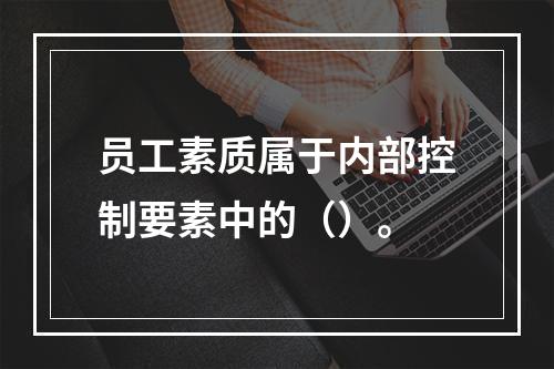 员工素质属于内部控制要素中的（）。