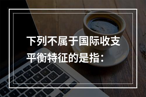 下列不属于国际收支平衡特征的是指：