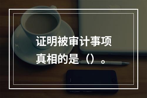 证明被审计事项真相的是（）。