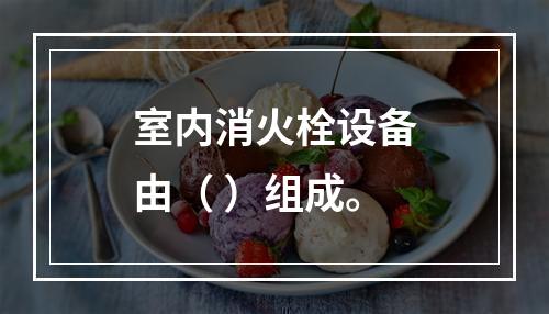 室内消火栓设备由（ ）组成。