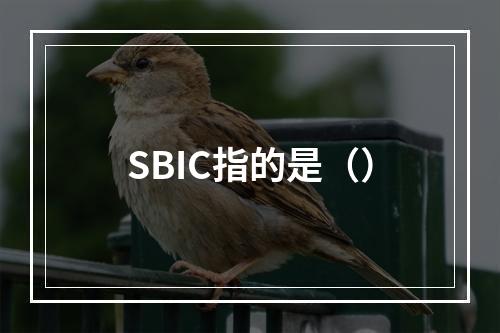 SBIC指的是（）