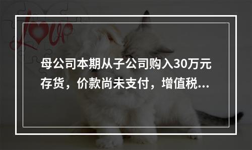 母公司本期从子公司购入30万元存货，价款尚未支付，增值税率为