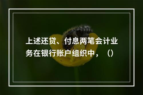 上述还贷、付息两笔会计业务在银行账户组织中，（）