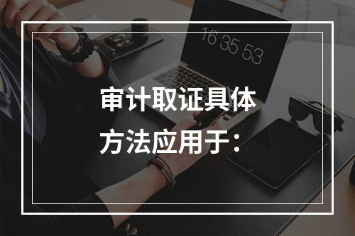 审计取证具体方法应用于：