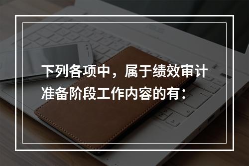 下列各项中，属于绩效审计准备阶段工作内容的有：