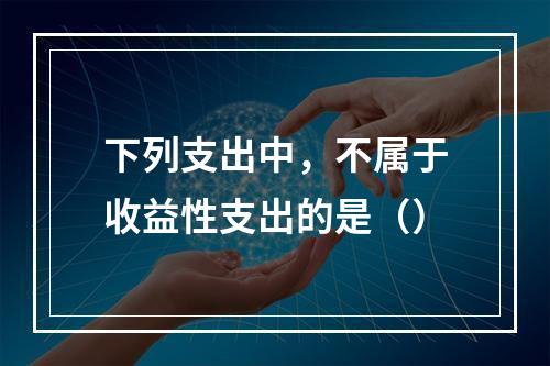 下列支出中，不属于收益性支出的是（）