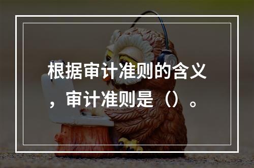 根据审计准则的含义，审计准则是（）。