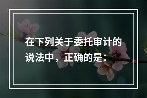 在下列关于委托审计的说法中，正确的是：