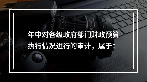 年中对各级政府部门财政预算执行情况进行的审计，属于：