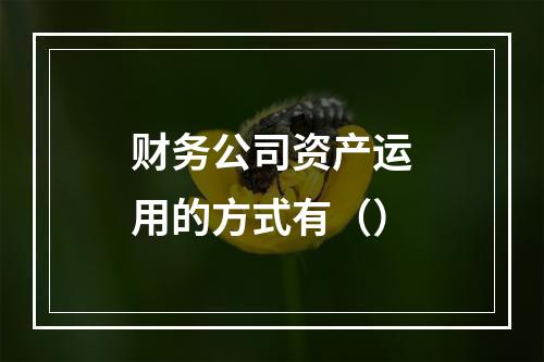 财务公司资产运用的方式有（）