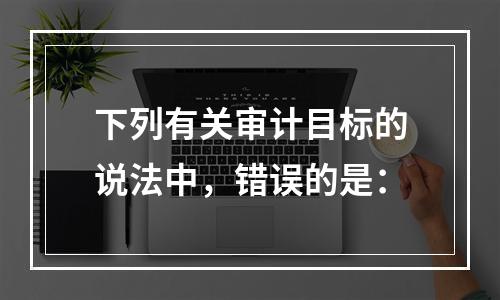 下列有关审计目标的说法中，错误的是：