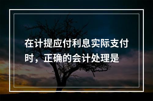 在计提应付利息实际支付时，正确的会计处理是