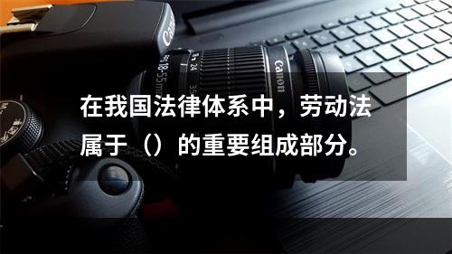 在我国法律体系中，劳动法属于（）的重要组成部分。