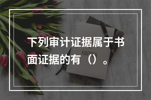 下列审计证据属于书面证据的有（）。