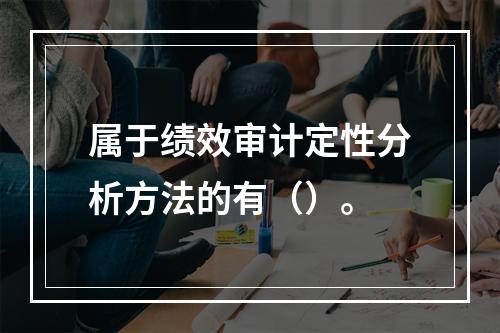 属于绩效审计定性分析方法的有（）。