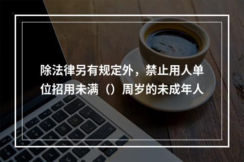 除法律另有规定外，禁止用人单位招用未满（）周岁的未成年人