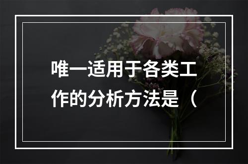 唯一适用于各类工作的分析方法是（