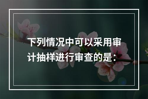 下列情况中可以采用审计抽样进行审查的是：