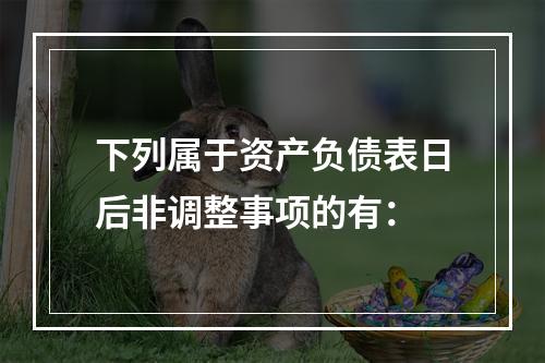 下列属于资产负债表日后非调整事项的有：