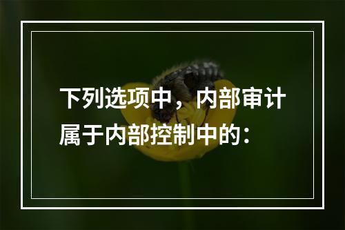 下列选项中，内部审计属于内部控制中的：