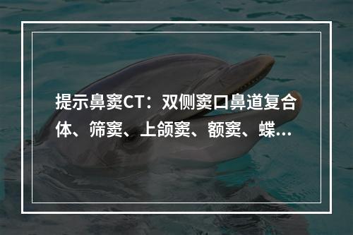 提示鼻窦CT：双侧窦口鼻道复合体、筛窦、上颌窦、额窦、蝶窦内