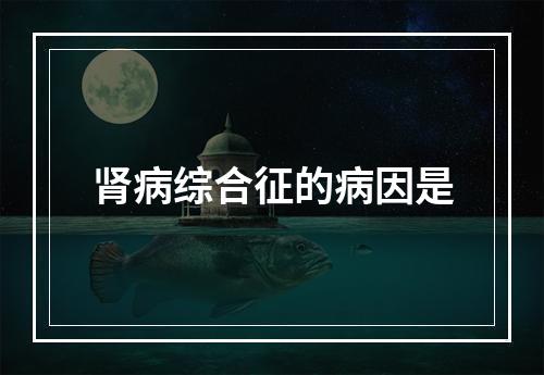 肾病综合征的病因是