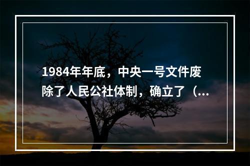 1984年年底，中央一号文件废除了人民公社体制，确立了（）。