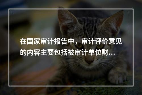 在国家审计报告中，审计评价意见的内容主要包括被审计单位财政财