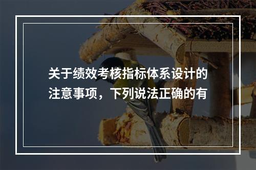 关于绩效考核指标体系设计的注意事项，下列说法正确的有