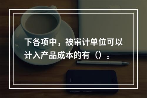 下各项中，被审计单位可以计入产品成本的有（）。